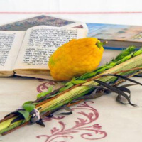 Sukot, Escritura y Tradición 1a parte