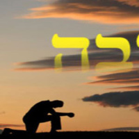 Vaielej: Shabat shuvah y el arrepentimiento de mis iniquidades