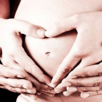 Bereshit: El hombre y la primera Mitzvah