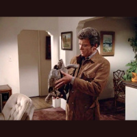 S04E17 - Hollywood Starr (The Sharon Stone Backdoor Pilot)