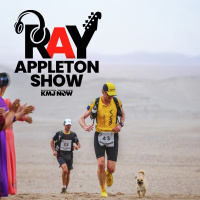 Finding Gobi: A Race, A Stray,  An Unbreakable Bond