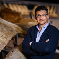 Sachbuchautor Matthias Glaubrecht: „Artensterben ist, als ob ein Kleinkind mit der Delete-Taste spielt … erst sind nur ein paar Urlaubsfotos weg. Dann die Systemdatei.“