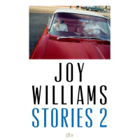 Fiktion sollte keine Botschaft haben: Große kleine Geschichten von Joy Williams 