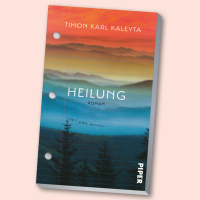 Timon Karl Kaleyta: Heilung