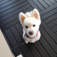 Happy Saturday, Lets Rock