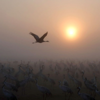 Dem Himmel so nah-ost! - Ein akustisches Himmelfahrtskommando