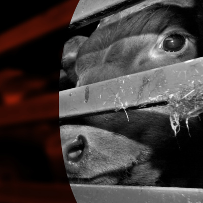 Wdr 5 Dok 5 - Das Feature