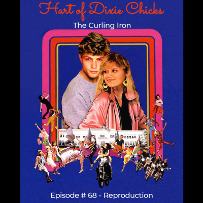 Hart Of Dixie Chicks