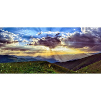 Peace Push For The Middle East