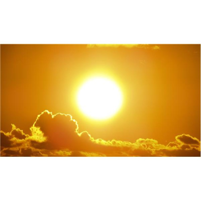 Life Visions - Glenda Coker