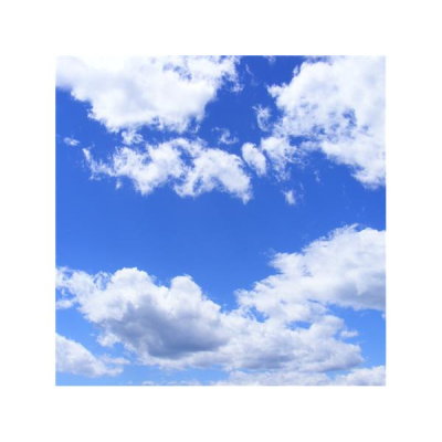 Life Visions - Glenda Coker