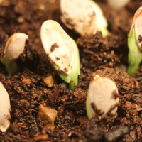 Spring Clean Your Finances - Episode #04-21-2018