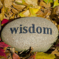 Wisdom Of Great Investors - Episode #04-14-2018