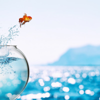 The Great Resignation - Revamping Career  Retirement Plans Post-COVID 19 - Episode #06-26-21