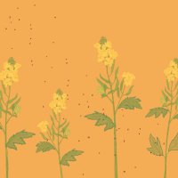 The Strong  Unshakeable Kingdom: July 19, 2020