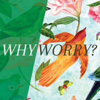 Why Worry? Week 5