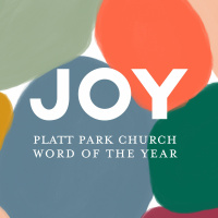 JOY: The fruit of rootedness