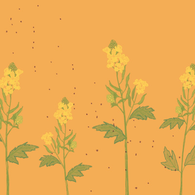 Messages From Platt Park Church