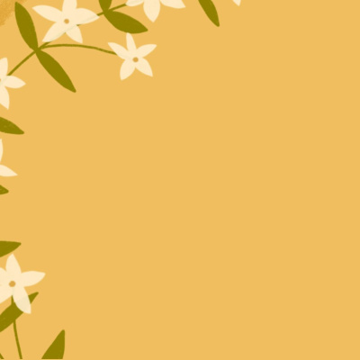 Messages From Platt Park Church