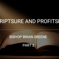 Scriptsure And Profitsee! Part 2