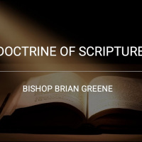 Scriptsure And Profitsee!