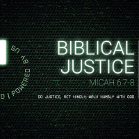 Whats in the Bible About Us and the Environment