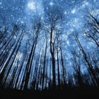 DOCUMENTOS DESCLASIFICADO(CIA, NASA, FBI) CASO VALDES, TEATROS ENCANTADOS P03X03 Tertulias a Medianoche