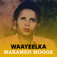Maxammed Mooge Liibaan-waayeelka jaqafsada