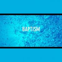 Baptism Sunday @GraceLifeSarasota