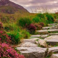 Laugh Long  Prosper -Live To 100: Secrets of The Blue Zones