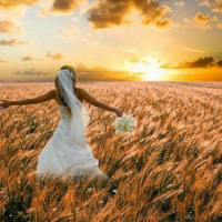 HHMI ~ Journey of the Bride ~ Pt 4 ~ Journey into Maturity