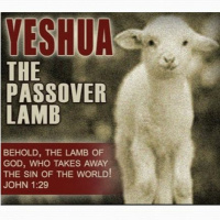 HHMI ~ Passover Pt 2 ~ Events