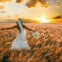 HHMI ~ Journey of the Bride ~ Pt 2 ~ Abrahams Calling ~ The Marriage Contract