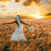 HHMI ~ Journey of the Bride ~ Pt 3 ~ Calling  Destiny of the Bride