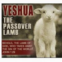 HHMI ~ Passover Themes and John 6 ~ Pt 5