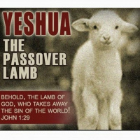 HHMI ~ Understanding the Passover Seder ~ Pt 6