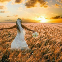 HHMI ~ Journey of the Bride ~ Pt 5 ~ Biblical Reqs to be Part of the Bride