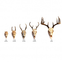 Bonus – Update and “The Quiet Boy” by Nick Antosca