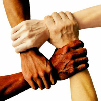 DPPH S01E02: Founding