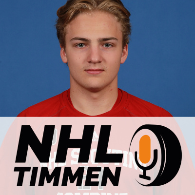 Nhl-timmen