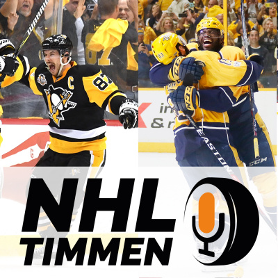 Nhl-timmen