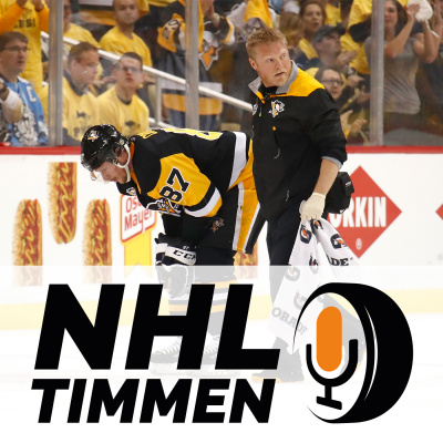 Nhl-timmen