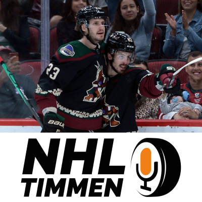 Nhl-timmen