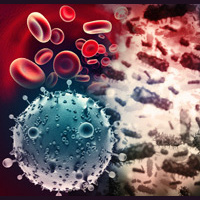 Enfermedades - Zapp Ingles Vocabulario y Pronunciacion 2.20