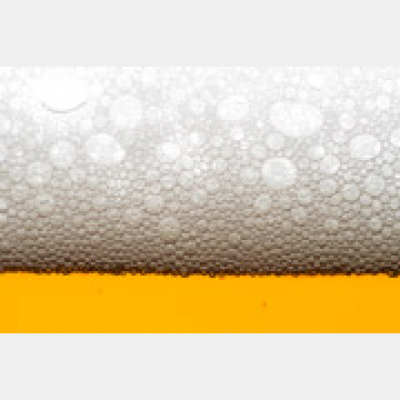 Zapp! Inglés Vocabulario Y Pronunciación