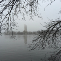 Is capital bashing a global phenomenon?