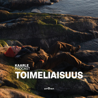 TOIMELIAISUUS