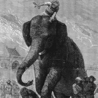 VLOG #12 Oikeusjuttu