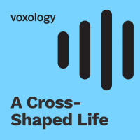 Cruciformity: Living in the Shape of the Cross (A Cross - Shaped Life) - QA w The Voxology Patrons