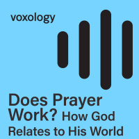 Does Prayer Work? How God Relates to His World